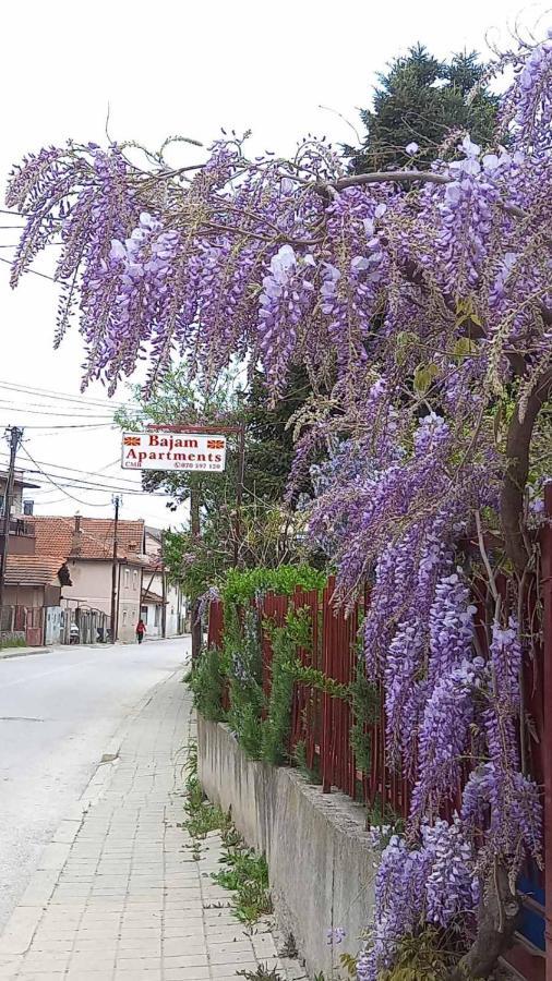 Bajam Apartments Ohri Dış mekan fotoğraf